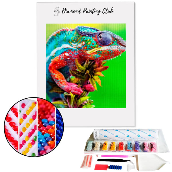 Diamond painting Meerkleurige Kameleon | Diamond-painting-club.nl