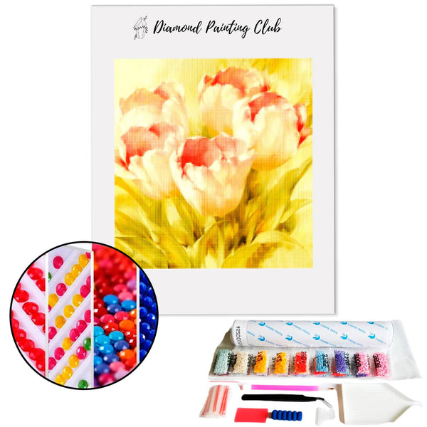 Diamond Painting Roze Tulpen | Diamond-painting-club.nl