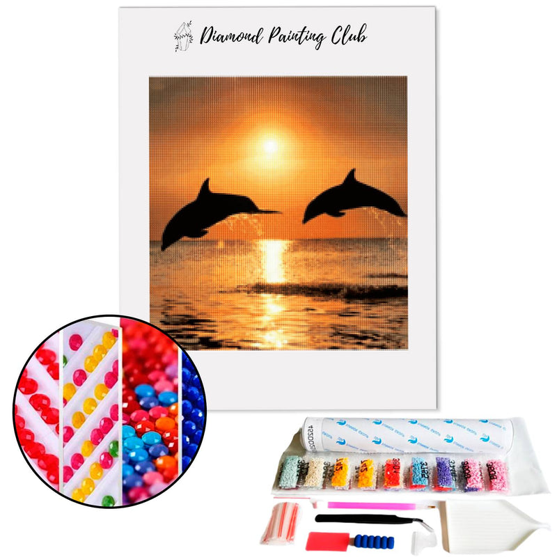 Diamond Painting Dolfijn op zonsondergang | Diamond-painting-club.nl