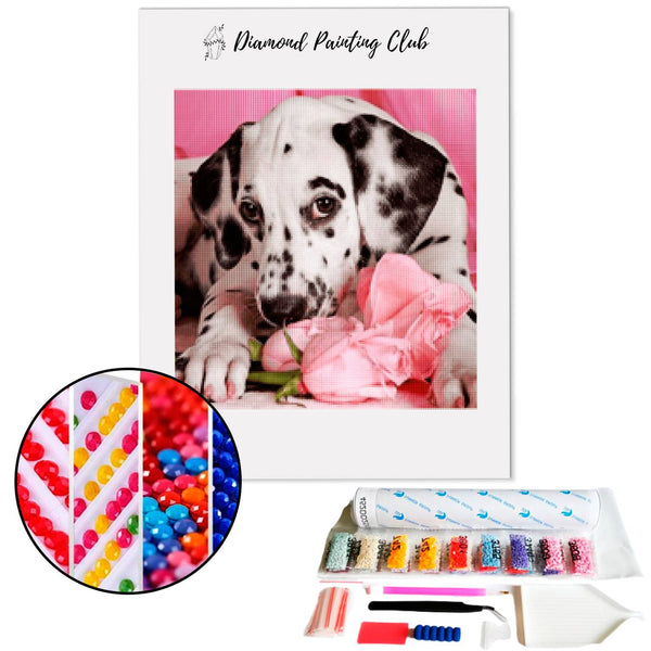 Diamond Painting Dalmatiër Puppy | Diamond-painting-club.nl