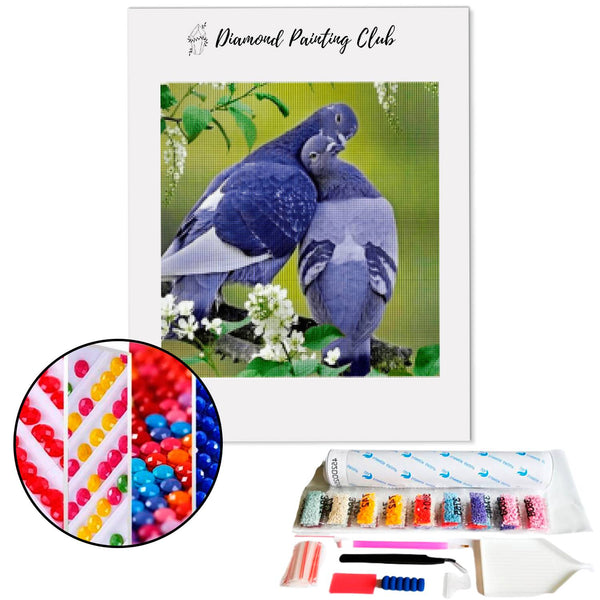 Diamond Painting Duivenpaar | Diamond-painting-club.nl