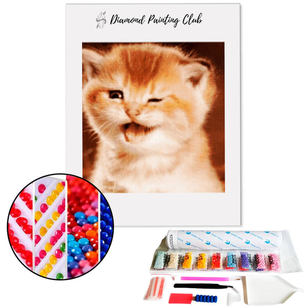 Diamond Painting Roodharige Kitten | Diamond-painting-club.nl