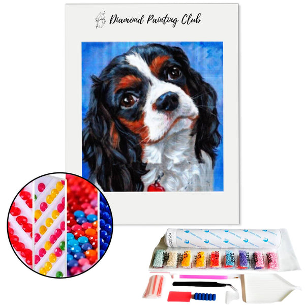 Diamond Painting Cavalier King Charles | Diamond-painting-club.nl