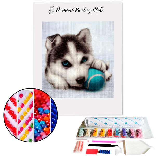 Diamond Painting Baby Husky | Diamond-painting-club.nl