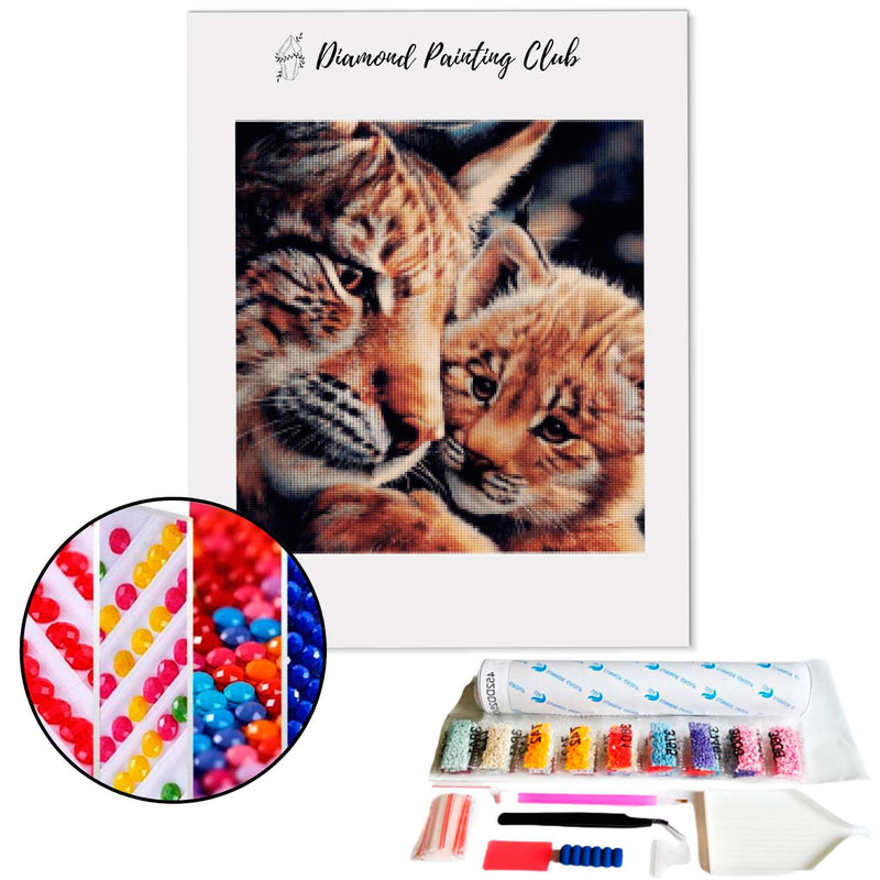 Diamond Painting Baby Lynx | Diamond-painting-club.nl