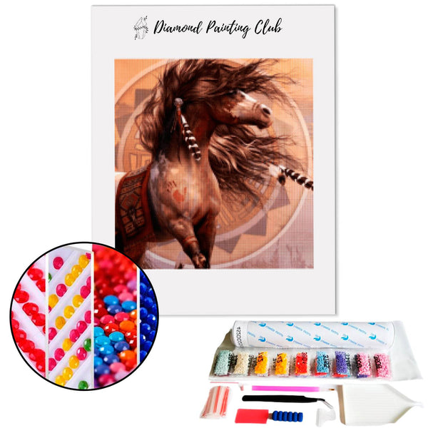 Diamond Painting Apache Paard | Diamond-painting-club.nl