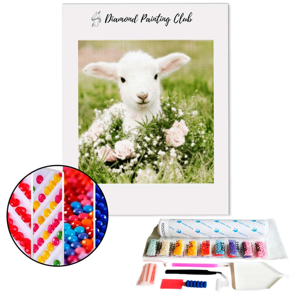 Diamond Painting Lam in een weiland | Diamond-painting-club.nl