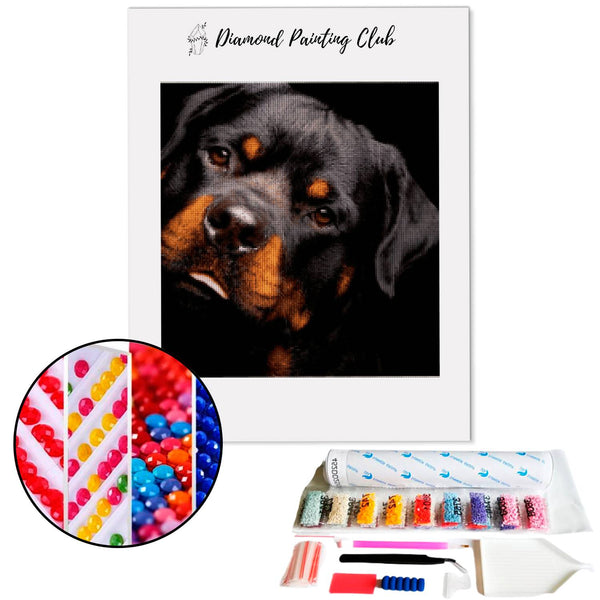 Diamond Painting Rottweiler Speler | Diamond-painting-club.nl