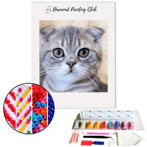 Diamond Painting Munchkin Dwergkat | Diamond-painting-club.nl