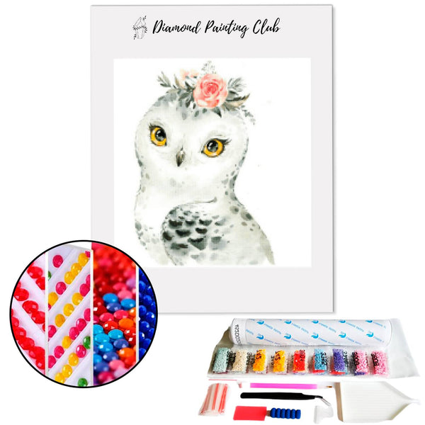 Diamond Painting Schattige Kleine Uil | Diamond-painting-club.nl