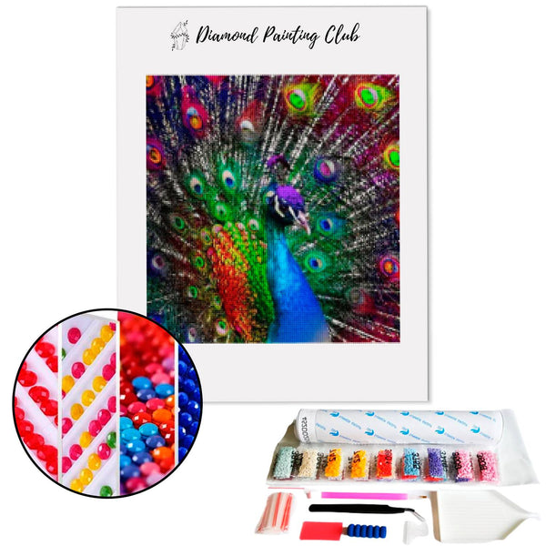 Diamond Painting Pauw Multicolor | Diamond-painting-club.nl