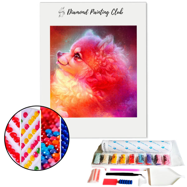 Diamond Painting Dazzling Spitz | Diamond-painting-club.nl