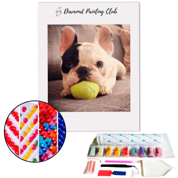 Diamond painting Franse Bulldog en zijn bal | Diamond-painting-club.nl