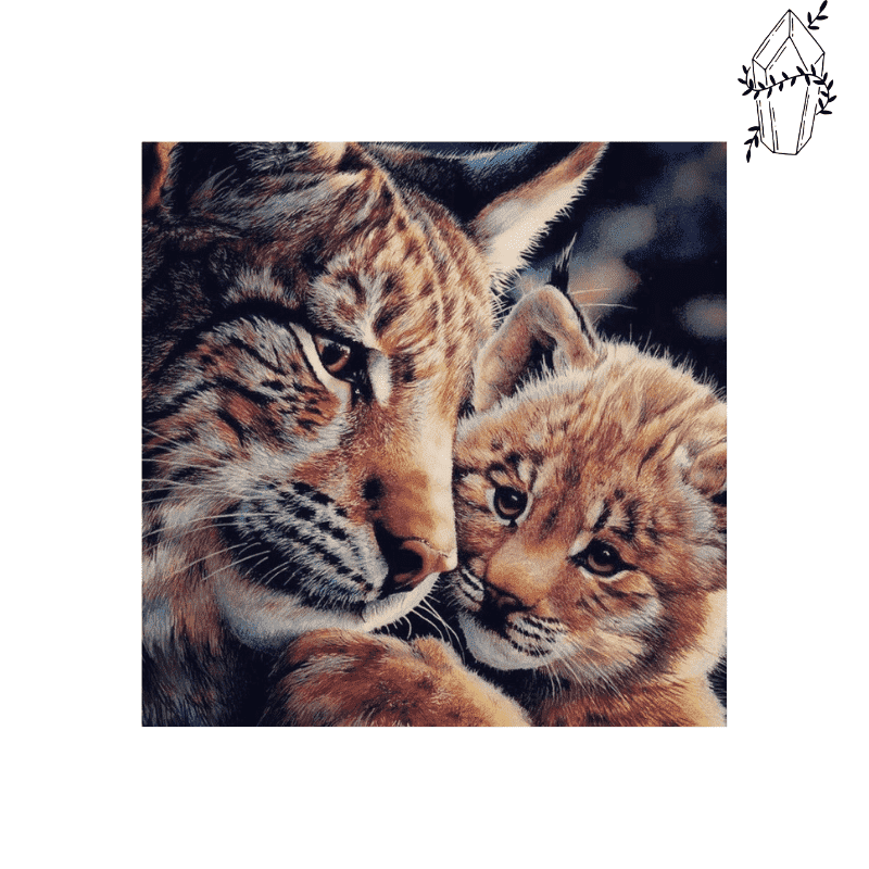 Diamond Painting Baby Lynx | Diamond-painting-club.nl