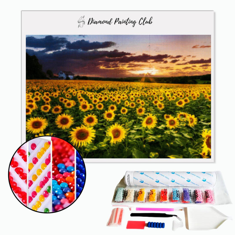 Diamond Painting Zonnebloemveld | Diamond-painting-club.nl