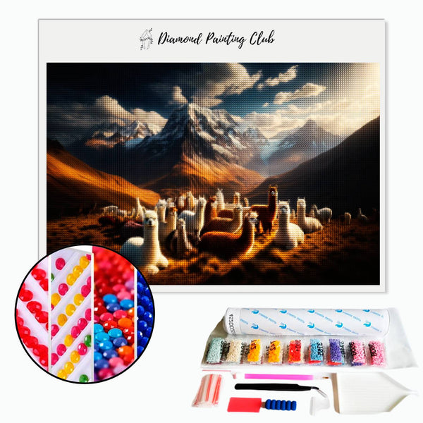 Diamond Painting Lama Stam | Diamond-painting-club.nl