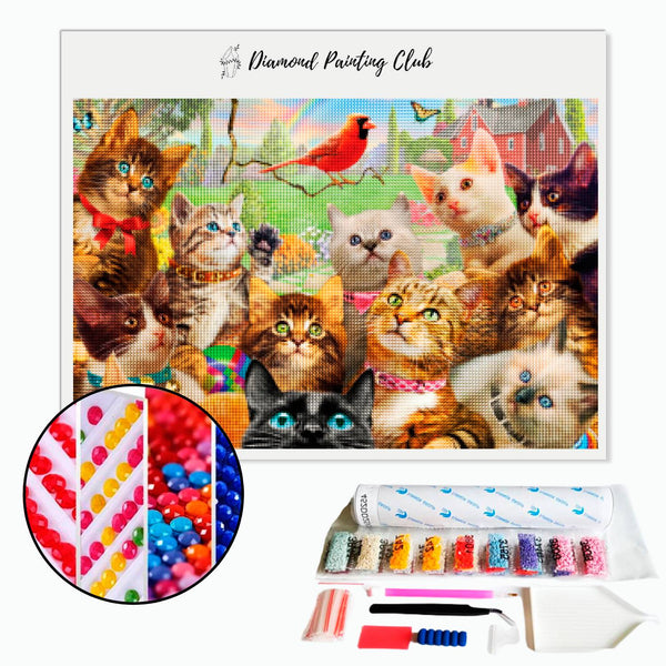 Diamond Painting Kattenbedrijf | Diamond-painting-club.nl