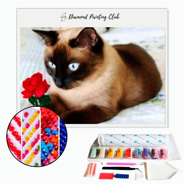 Diamond Painting Siamese kat met een roos | Diamond-painting-club.nl