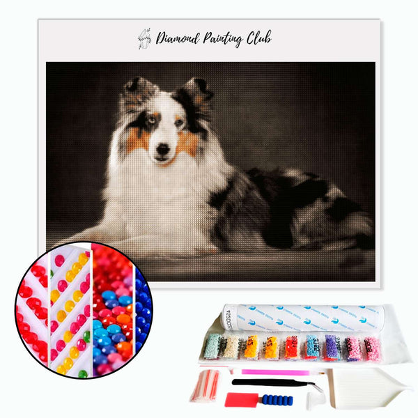 Diamond Painting Australische Herder | Diamond-painting-club.nl