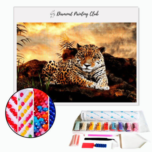 Diamond Painting Luipaard op een rots | Diamond-painting-club.nl