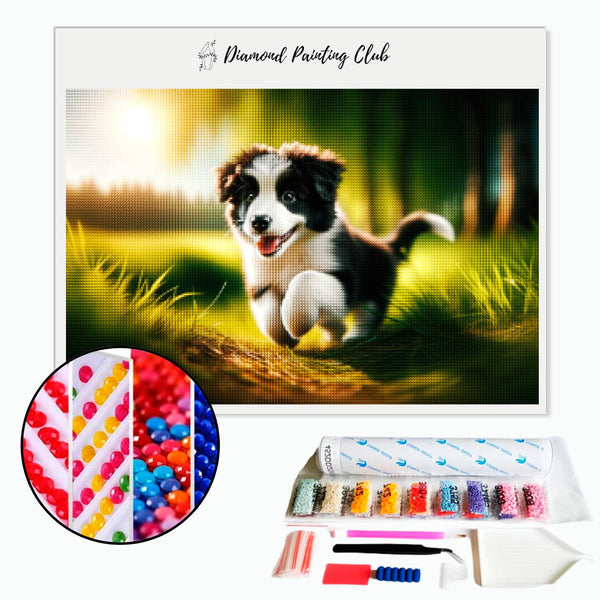 Diamond Painting Border Collie Puppy | Diamond-painting-club.nl