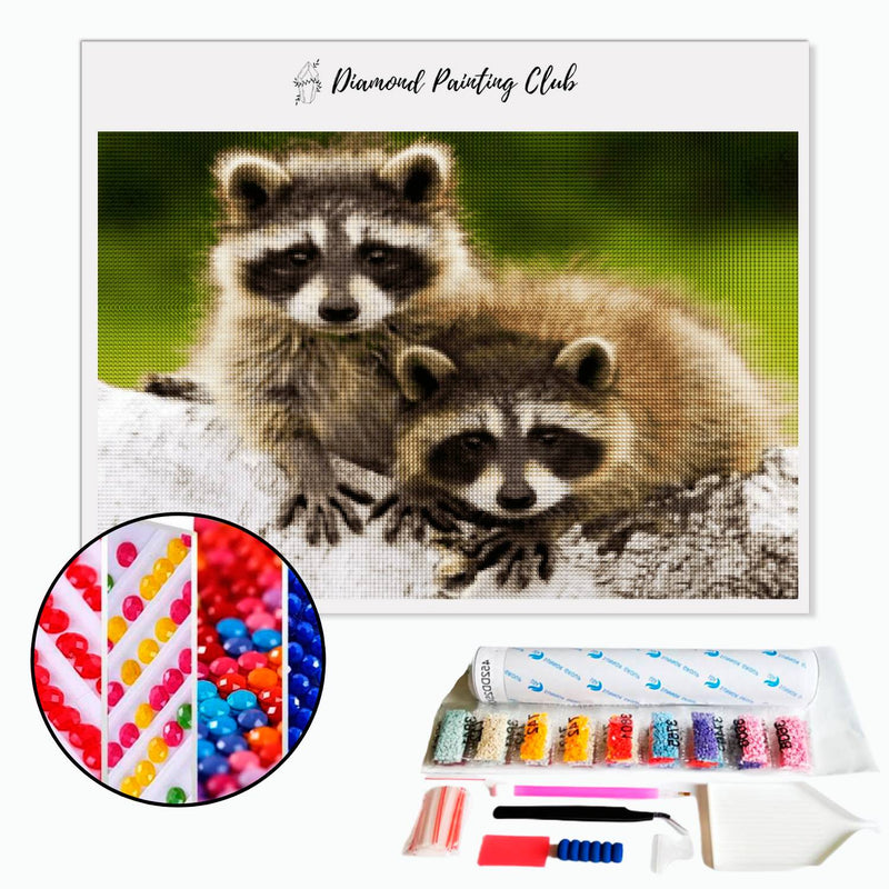 Diamond Painting Wasbeer | Diamond-painting-club.nl