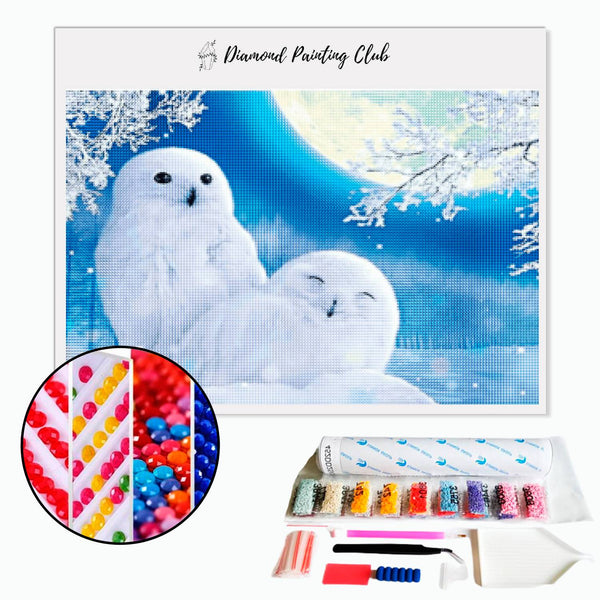 Diamond Painting Witte Uil | Diamond-painting-club.nl