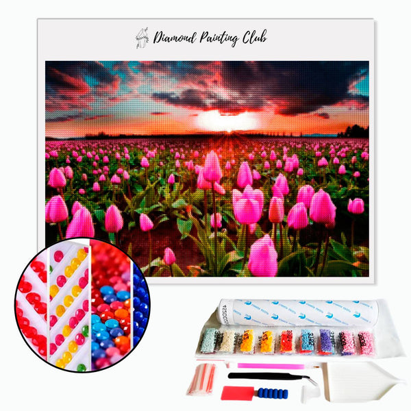 Diamond Painting Tulpen in bloei en zonsondergang | Diamond-painting-club.nl