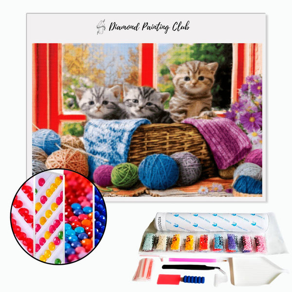Diamond Painting Kittens & bolletjes wol | Diamond-painting-club.nl
