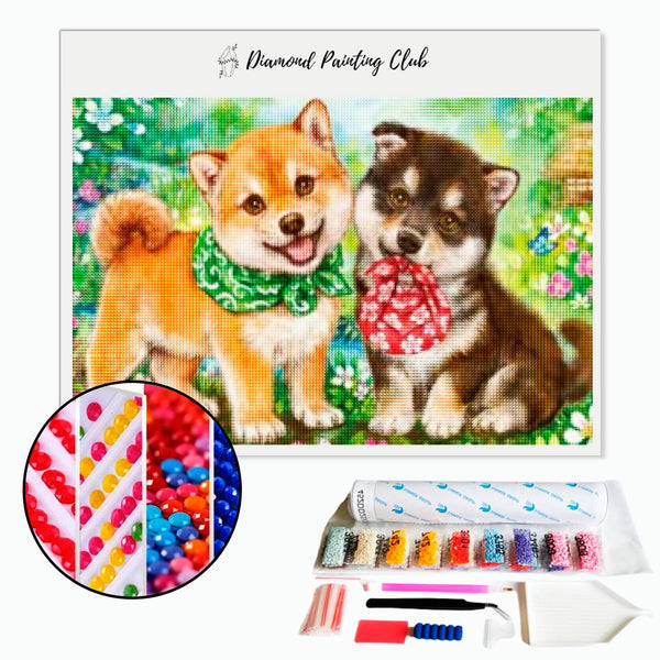 Diamond painting Schattige Shiba Inu | Diamond-painting-club.nl