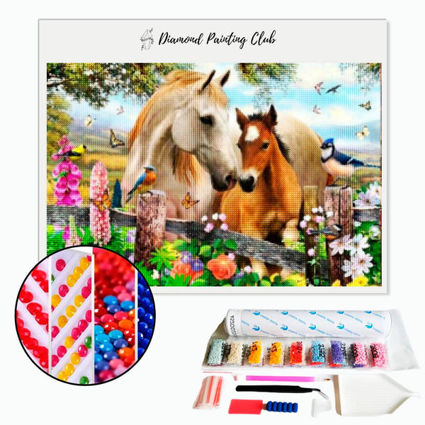 Diamond Painting Merrie en Veulen | Diamond-painting-club.nl