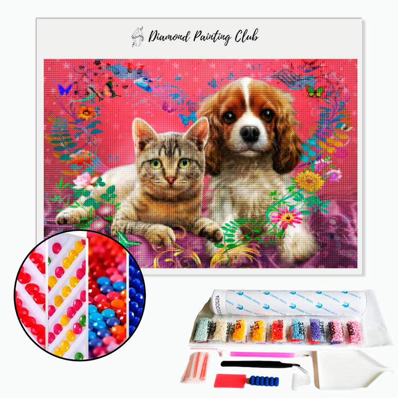 Diamond Painting Kat & King Charles | Diamond-painting-club.nl