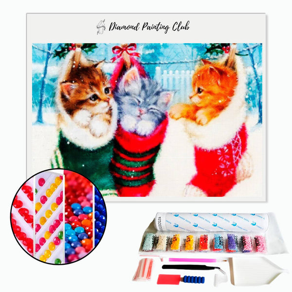 Diamond Painting Kittens in sokken | Diamond-painting-club.nl