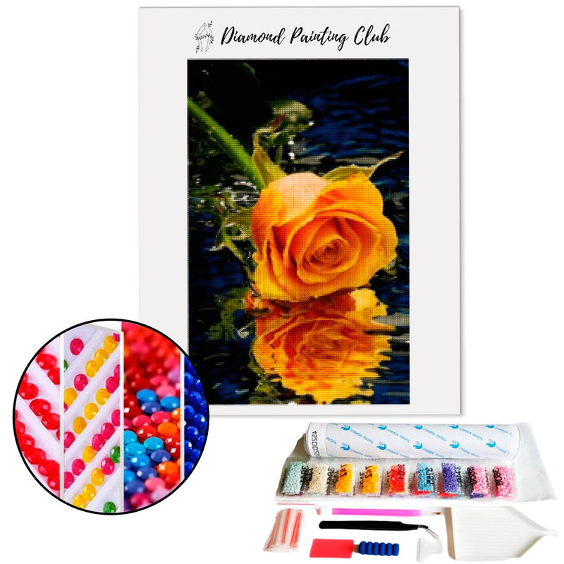 Diamond Painting Oranje Roos | Diamond-painting-club.nl