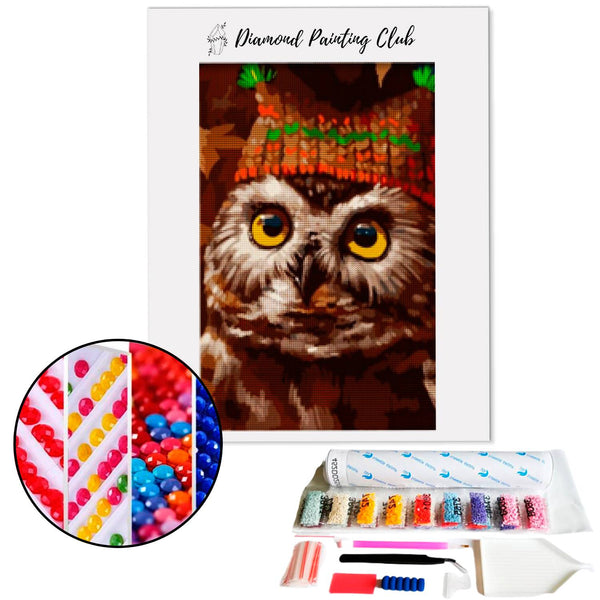 Diamond Painting Uil hoed | Diamond-painting-club.nl