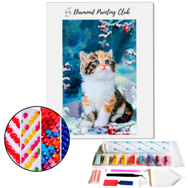 Diamond Painting Calico Kitten in de Sneeuw | Diamond-painting-club.nl