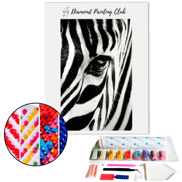 Diamond Painting Gezicht van Zebra | Diamond-painting-club.nl