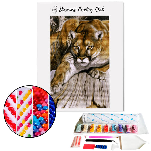 Diamond Painting Puma | Diamond-painting-club.nl