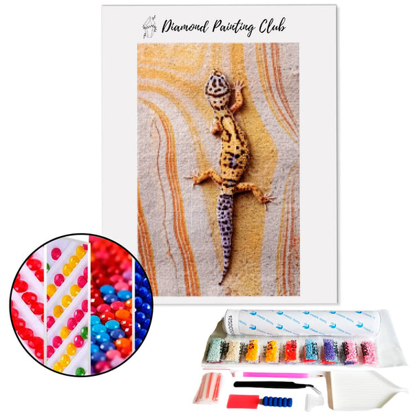 Diamond Painting Hagedis op een muur | Diamond-painting-club.nl