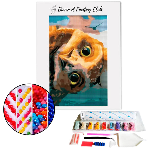 Diamond Painting Uil Koekoek | Diamond-painting-club.nl