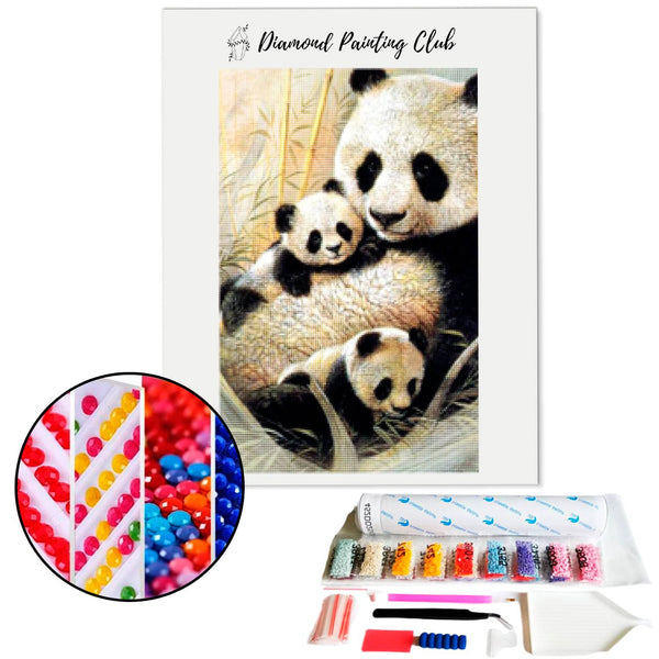 Diamond Painting Panda en zijn kleintjes | Diamond-painting-club.nl