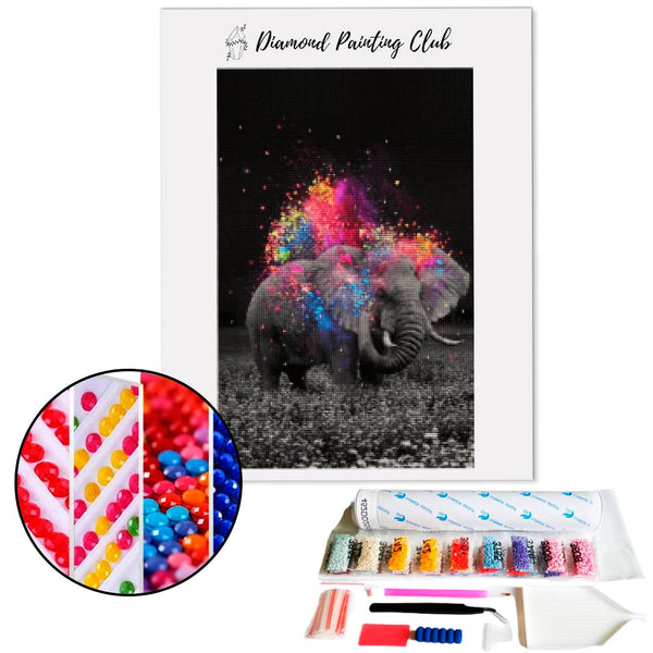 Diamond painting Olifant Kleurkrijt | Diamond-painting-club.nl