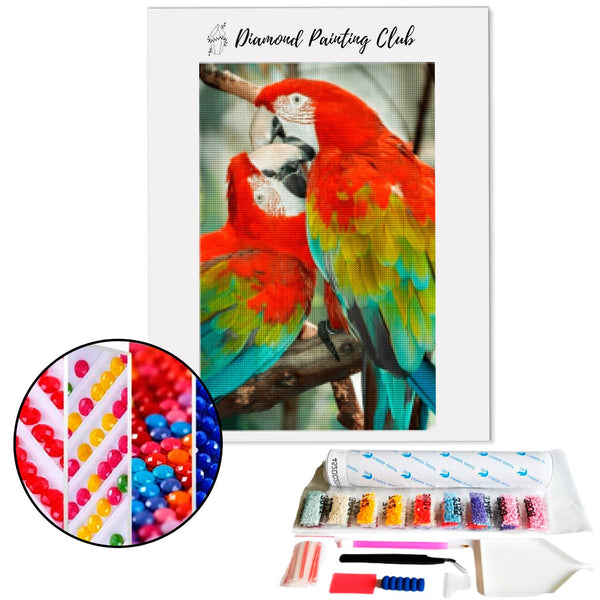 Diamond Painting Papegaaienkoppel | Diamond-painting-club.nl