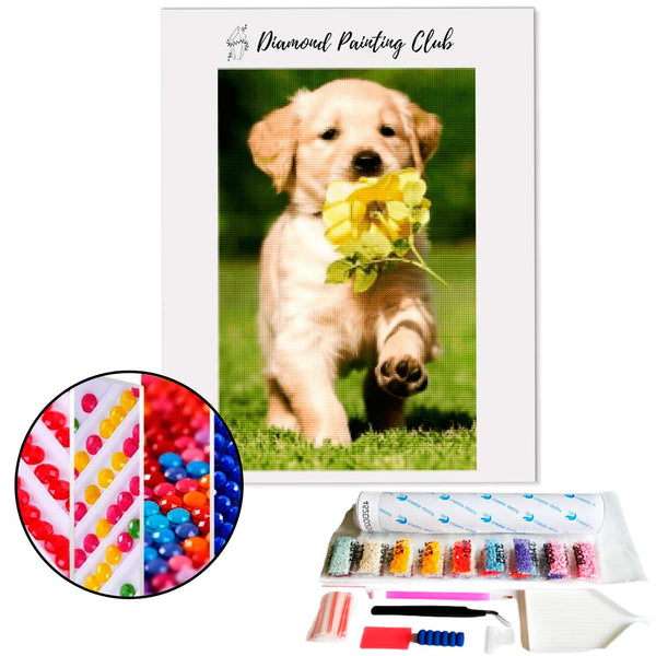 Diamond Painting Baby Labrador & Roos | Diamond-painting-club.nl