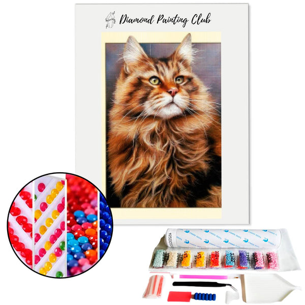 Diamond Painting Maine Coon | Diamond-painting-club.nl