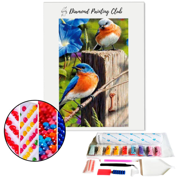 Diamond Painting IJsvogel Paar | Diamond-painting-club.nl