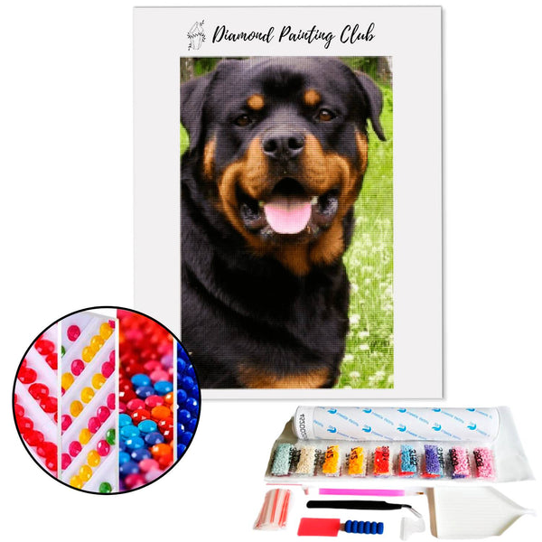 Diamond painting Rottweiler | Diamond-painting-club.nl