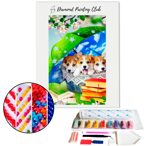 Diamond Painting Corgi Mand | Diamond-painting-club.nl