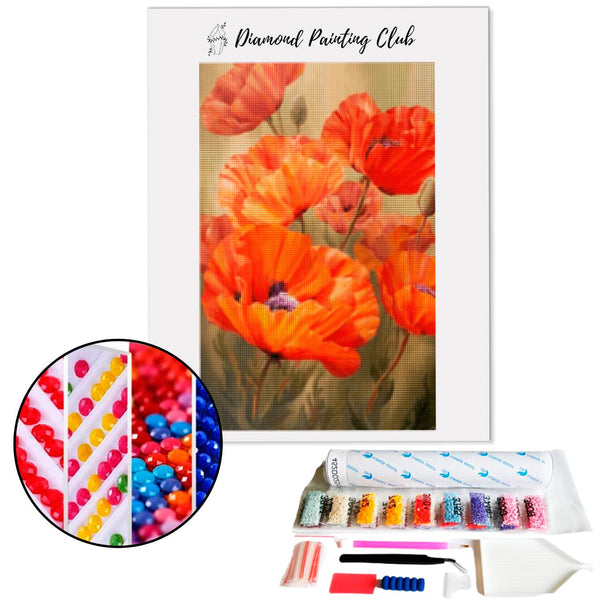 Diamond Painting Klaproos | Diamond-painting-club.nl