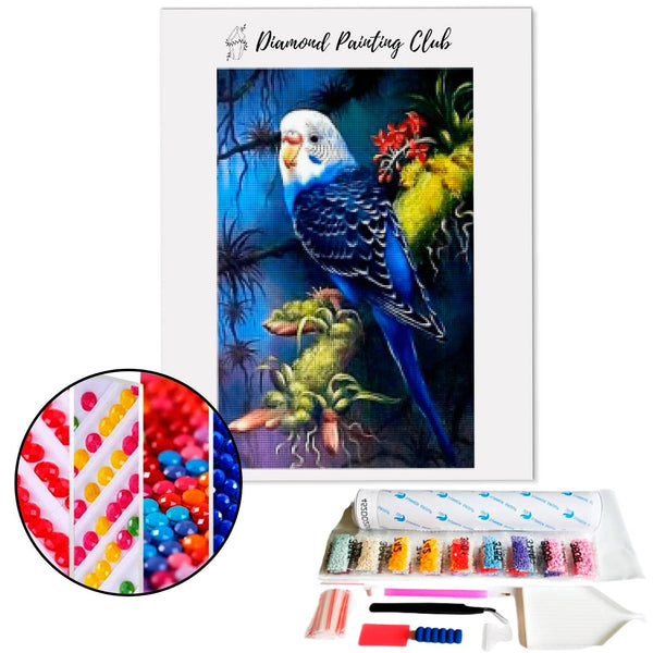 Diamond Painting Blauwe Parkiet | Diamond-painting-club.nl